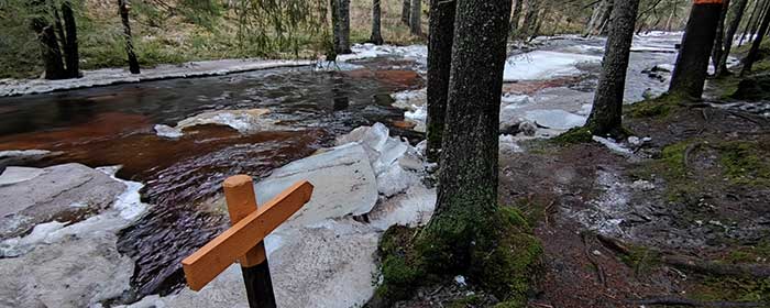 De wandelroute langs de beek in de winter