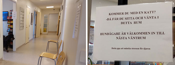 Aparte wachtkamer voor katten