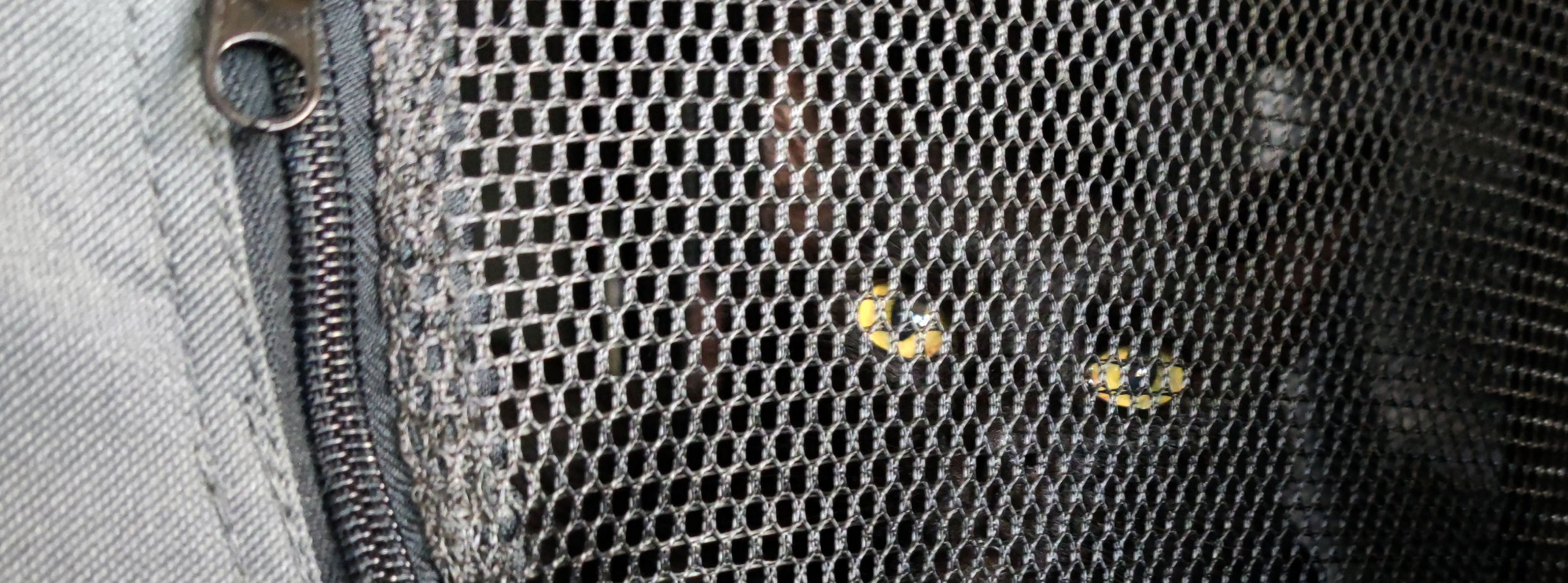 Lieve Ben in de bench in de auto