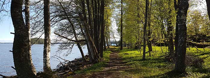 Wandelen in de omgeving
