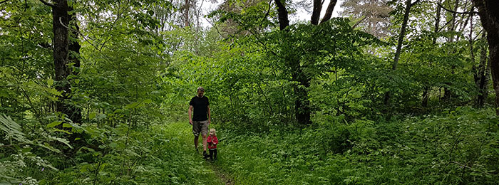 Wandelen in het bos
